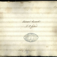 003560535 veemuna baschevehi bass.pdf